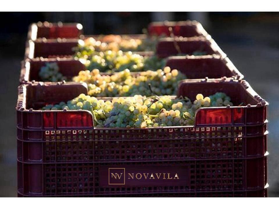 Enoturismo Novavila Rias Baixas Wine Design Meis Exterior photo